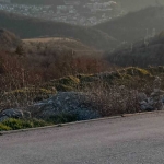 Парцел в с. Арбанаси, Област Велико Търново - 1234 кв.м за 187 €/кв.м - Снимка #1