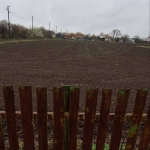 Парцел в с. Златия, Област Добрич - 3390 кв.м за 6 €/кв.м - Снимка #1