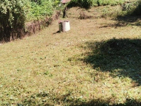 Парцел в с. Гложене, Област Ловеч - 750 кв.м за 28 €/кв.м - Снимка #1