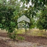 Земеделски имот в с. Семерджиево, Област Русе -  кв.м за 3 €/дка - Снимка #1