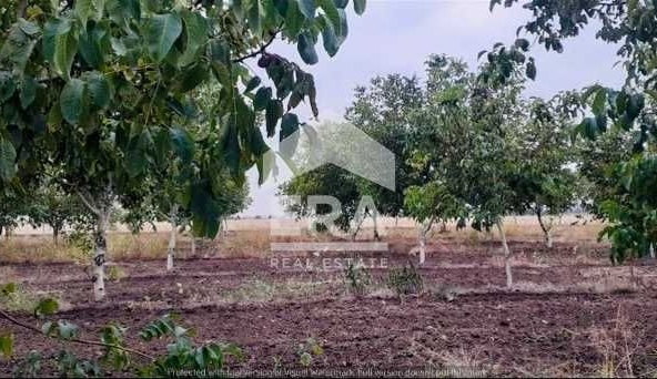 Земеделски имот в с. Семерджиево, Област Русе -  кв.м за 2447 €/дка - Снимка #1