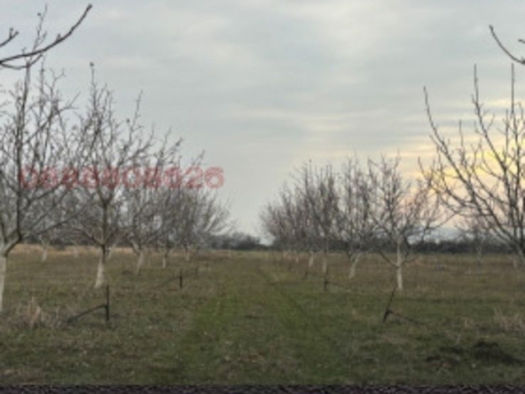 Земеделски имот в Перущица -  кв.м за 4857 €/дка - Снимка #1