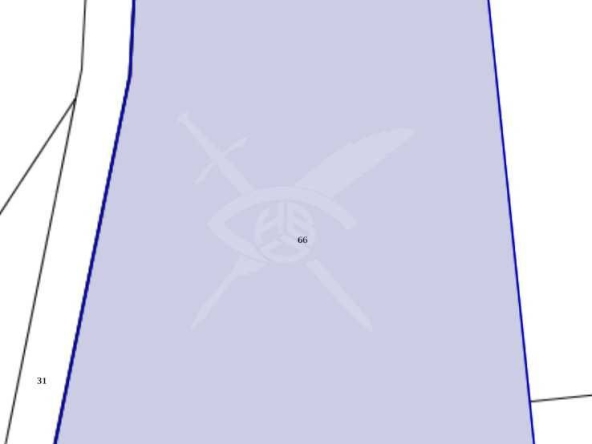 Парцел в с. Ясна поляна, Област Бургас - 1999 кв.м за 4 €/кв.м - Снимка #1