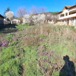 Парцел в с. Рогачево, Област Добрич - 930 кв.м за 31 €/кв.м - Снимка #1