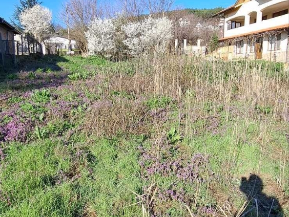 Парцел в с. Рогачево, Област Добрич - 930 кв.м за 31 €/кв.м - Снимка #1