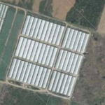 Земеделски имот в с. Триводици, Област Пловдив -  кв.м за 16490 €/дка - Снимка #1