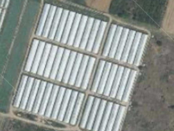 Земеделски имот в с. Триводици, Област Пловдив -  кв.м за 16490 €/дка - Снимка #1