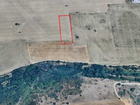 Парцел в Пловдив, Индустриална зона - Север - 4999 кв.м за 13 €/кв.м - Снимка #1