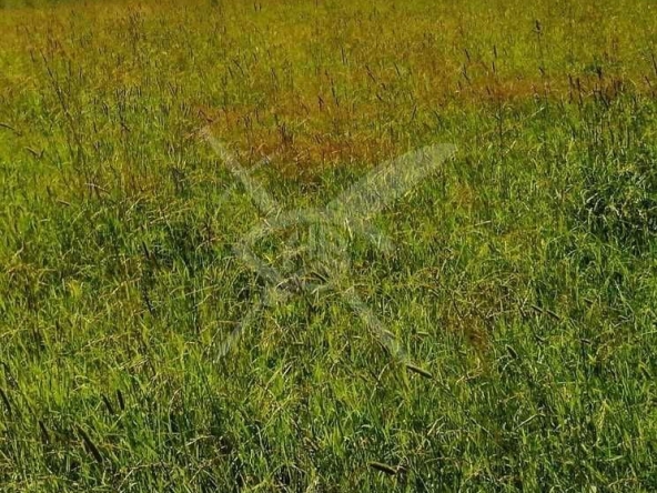 Парцел в с. Труд, Област Пловдив - 1161 кв.м за 21 €/кв.м - Снимка #1