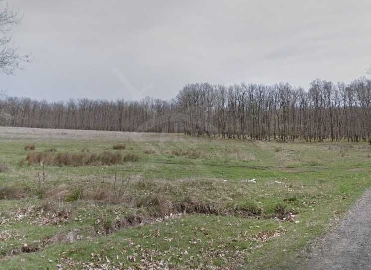 Парцел в с. Дебелт, Област Бургас - 1165 кв.м за 4 €/кв.м - Снимка #1