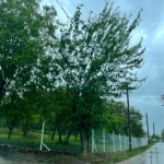 Парцел в Севлиево - 764 кв.м за 25 €/кв.м - Снимка #1