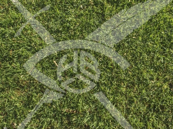 Парцел в Съединение - 3754 кв.м за 8 €/кв.м - Снимка #1