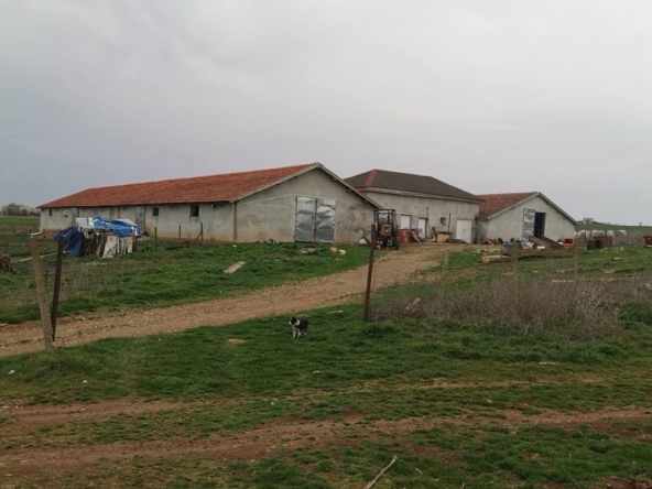 Промишлена сграда в с. Лехчево, Област Монтана - 1500 кв.м за 80 €/кв.м - Снимка #1