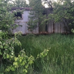 Парцел в Варна, Аспарухово - 5000 кв.м за 22 €/кв.м - Снимка #1