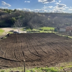 Парцел в с. Ореш, Област Велико Търново - 2264 кв.м за 3 €/кв.м - Снимка #1