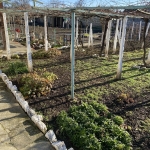 Къща в Плиска - 267 кв.м за 248 €/кв.м - Снимка #1