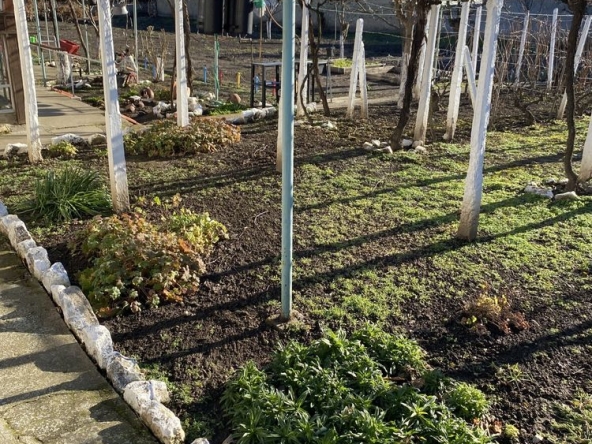 Къща в Плиска - 267 кв.м за 248 €/кв.м - Снимка #1