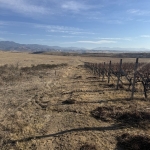 Земеделски имот в Сандански -  кв.м за 1640 €/дка - Снимка #1