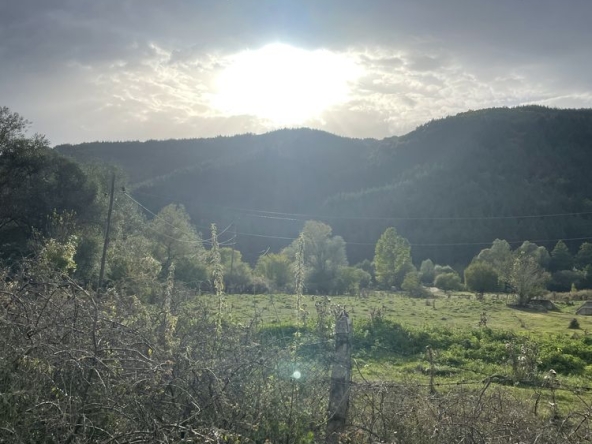 Парцел в Банско - 5501 кв.м за 11 €/кв.м - Снимка #1