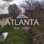 Парцел в с. Генерал Кантарджиево, Област Варна - 500 кв.м за 80 €/кв.м - Снимка #1