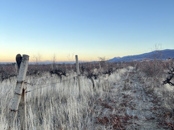 Парцел в Пловдив, Каменица 1 - 2600 кв.м за 50 €/кв.м - Снимка #1