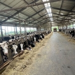 Земеделски имот в Димитровград -  кв.м за 153000 €/дка - Снимка #1