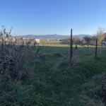 Парцел в с. Казичене, Област София-град - 986 кв.м за 146 €/кв.м - Снимка #1