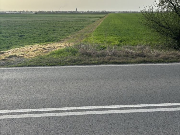 Земеделски имот в Пловдив, Каменица 1 -  кв.м за 153 €/дка - Снимка #1