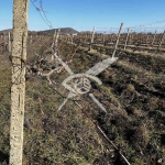 Земеделски имот в Каблешково -  кв.м за 6750 €/дка - Снимка #1