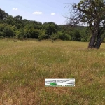 Парцел в с. Сърнегор, Област Пловдив - 2500 кв.м за 10 €/кв.м - Снимка #1