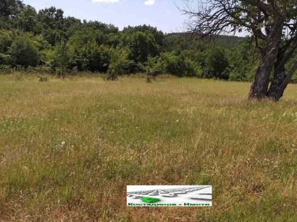 Парцел в с. Сърнегор, Област Пловдив - 2500 кв.м за 10 €/кв.м - Снимка #1