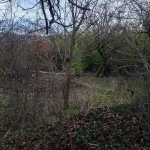 Парцел в с. Кичево, Област Варна - 797 кв.м за 21 €/кв.м - Снимка #1