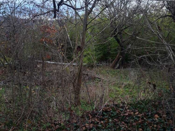 Парцел в с. Кичево, Област Варна - 797 кв.м за 21 €/кв.м - Снимка #1