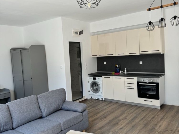 Дава се под наем Едностаен апартамент в Асеновград - 48 кв.м за 229.5 € - Снимка #1