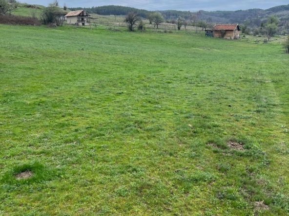 Земеделски имот в Панагюрище -  кв.м за 4 €/дка - Снимка #1