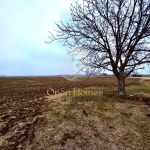 Парцел в с. Крумово, Област Пловдив - 2400 кв.м за 55 €/кв.м - Снимка #1