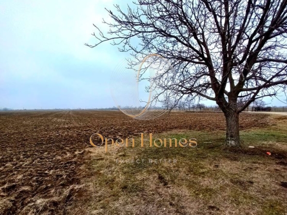 Парцел в с. Крумово, Област Пловдив - 2400 кв.м за 55 €/кв.м - Снимка #1