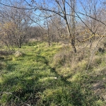 Парцел в Варна, Базар Левски - 1763 кв.м за 60 €/кв.м - Снимка #1