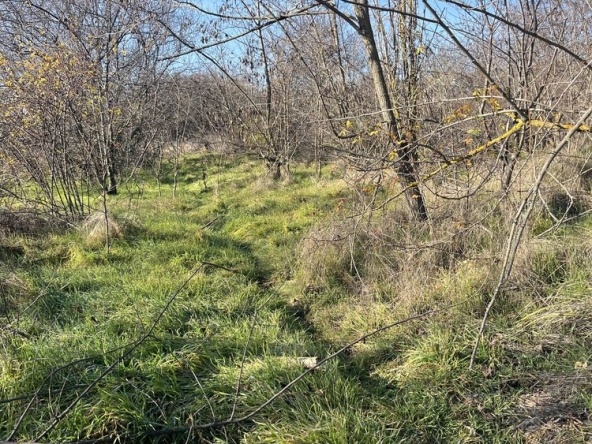 Парцел в Варна, Базар Левски - 1763 кв.м за 60 €/кв.м - Снимка #1