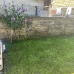 Дава се под наем Къща в Ловеч, Промишлена зона - Изток - 140 кв.м за 408 € - Снимка #1