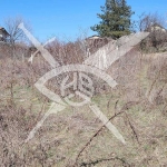 Парцел в с. Изворище, Област Бургас - 1000 кв.м за 21 €/кв.м - Снимка #1