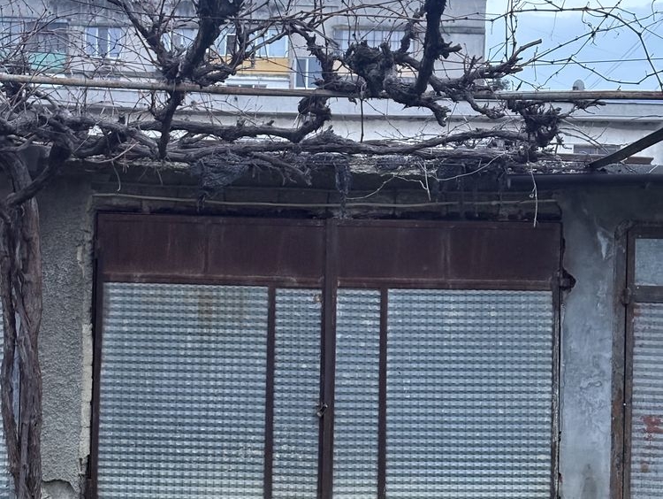 Дава се под наем Гараж / Паркомясто в Каспичан - 15 кв.м за 25.5 € - Снимка #1