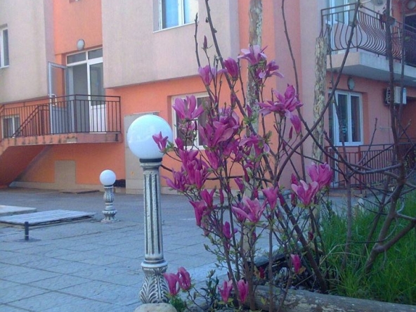 Мезонет в с. Равда, Област Бургас - 134 кв.м за 598 €/кв.м - Снимка #1