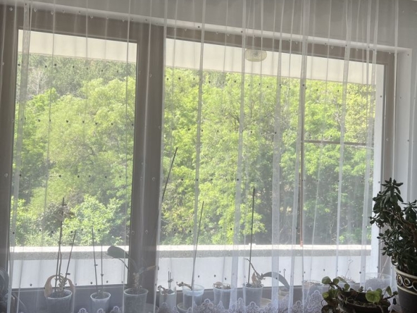 Тристаен апартамент в Асеновград - 160 кв.м за 1438 €/кв.м - Снимка #1