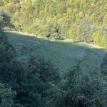 Парцел в с. Джурково, Област Пловдив - 400 кв.м за 20 €/кв.м - Снимка #1