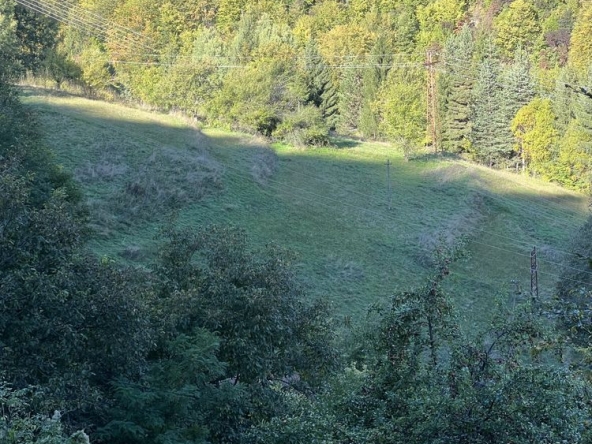 Парцел в с. Джурково, Област Пловдив - 400 кв.м за 20 €/кв.м - Снимка #1