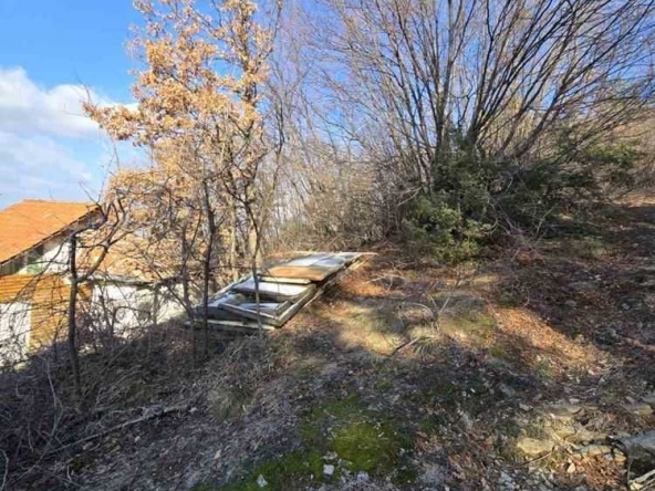 Парцел в с. Гълъбово, Област Пловдив - 513 кв.м за 60 €/кв.м - Снимка #1