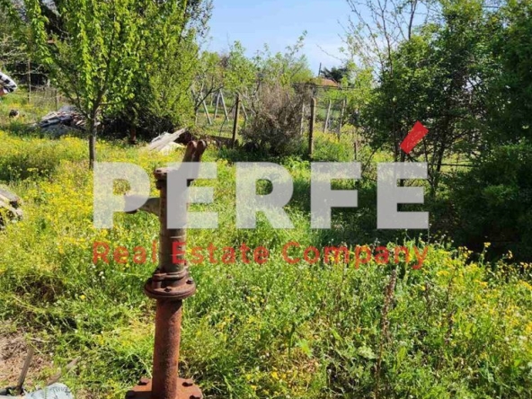 Къща в с. Изворище, Област Бургас - 60 кв.м за 600 €/кв.м - Снимка #1