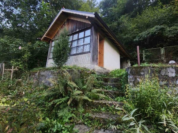 Парцел в с. Бистрица, Област Благоевград - 600 кв.м за 60 €/кв.м - Снимка #1