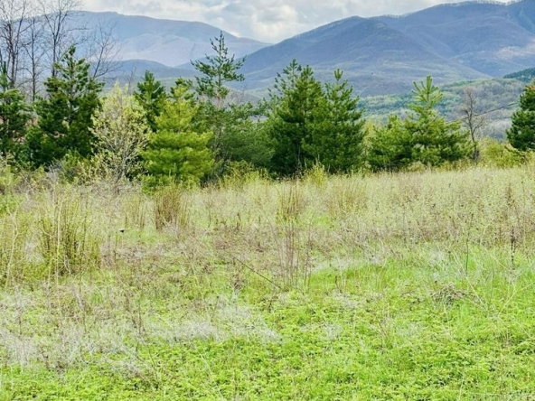 Парцел в с. Горнослав, Област Пловдив - 650 кв.м за 56 €/кв.м - Снимка #1